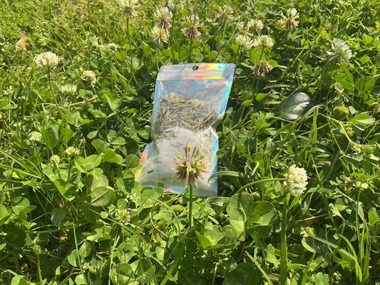 PURIFICATION CEREMONY (4 oz)